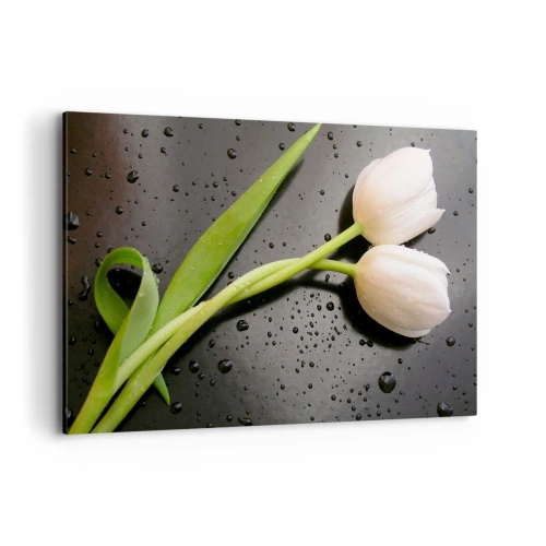 Quadro su tela - Stampe su Tela - Tulipani bianchi su sfondo nero con gocce d'acqua - 120x80cm - Intreccio primaverile - Decorazione murale moderna per soggiorno e camera da letto ARTTOR