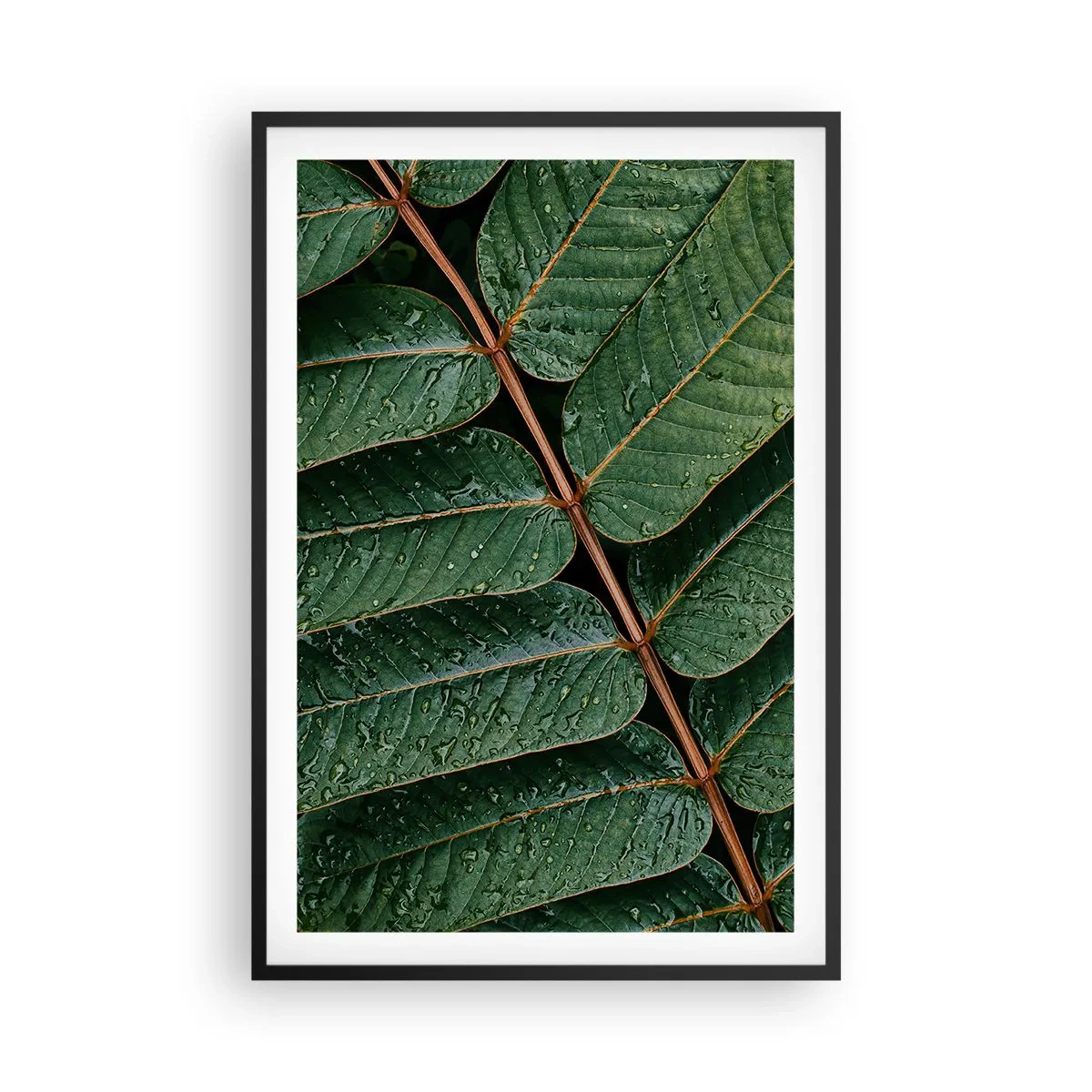 Poster in cornice nera - Al ritmo verde - 61x91 cm