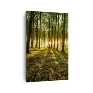 Quadro su tela - Stampe su Tela - Il sole al tramonto nella foresta decidua - 80x120cm - La foto di ogni primavera - Decorazione murale moderna per soggiorno e camera da letto ARTTOR