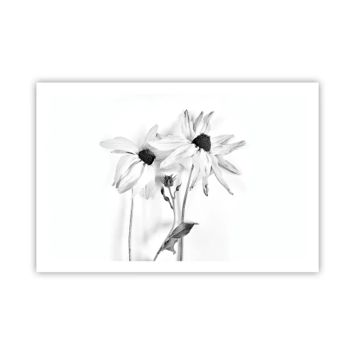 Poster - Nessuno vuole essere solo - 91x61 cm