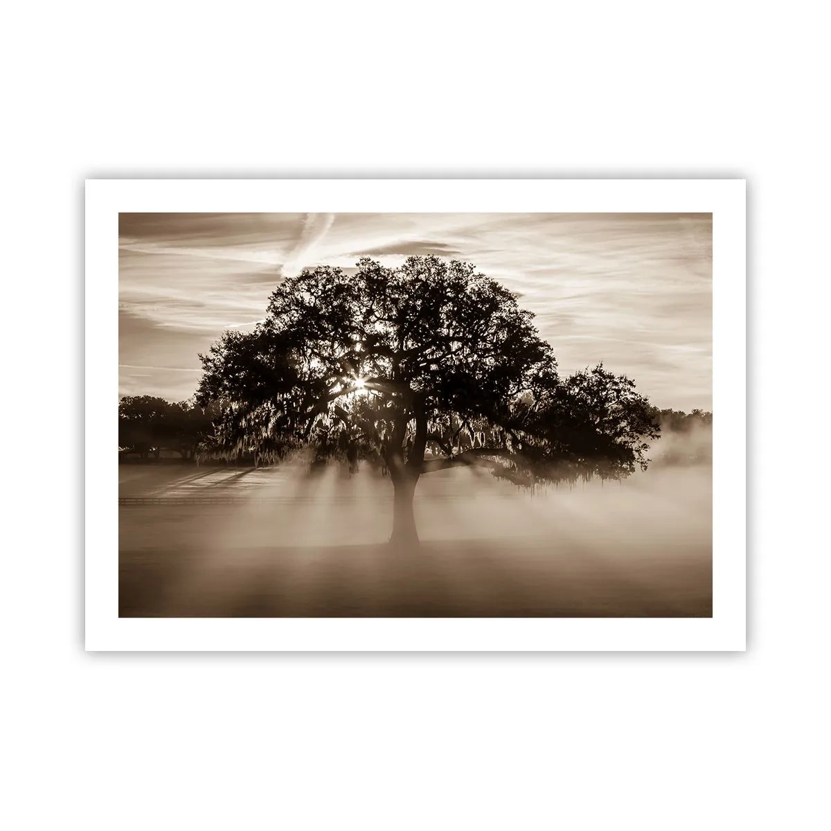 Poster - L'albero delle sole buone notizie - 70x50 cm
