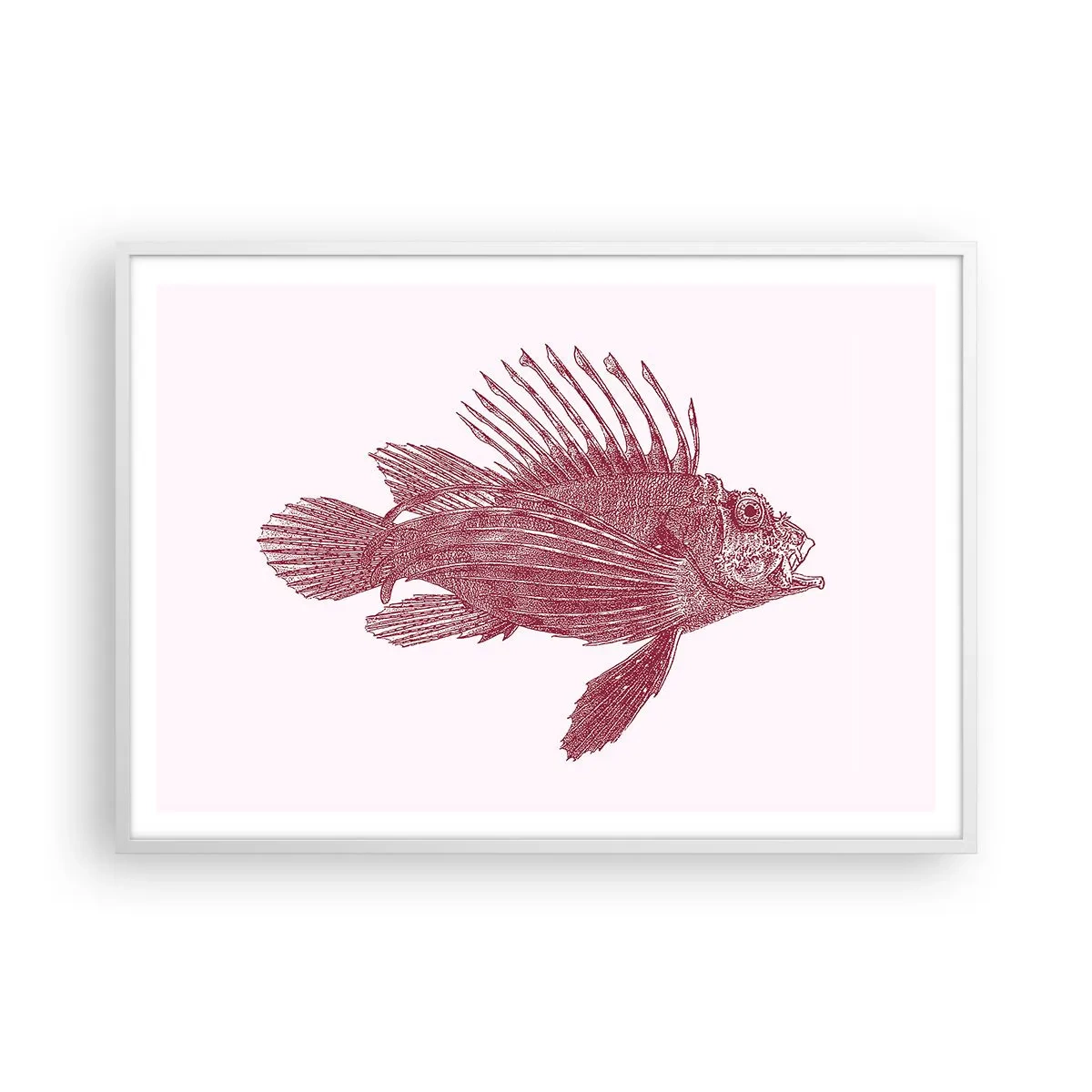 Poster in cornice bianca - Abitante di mari esotici - 100x70 cm