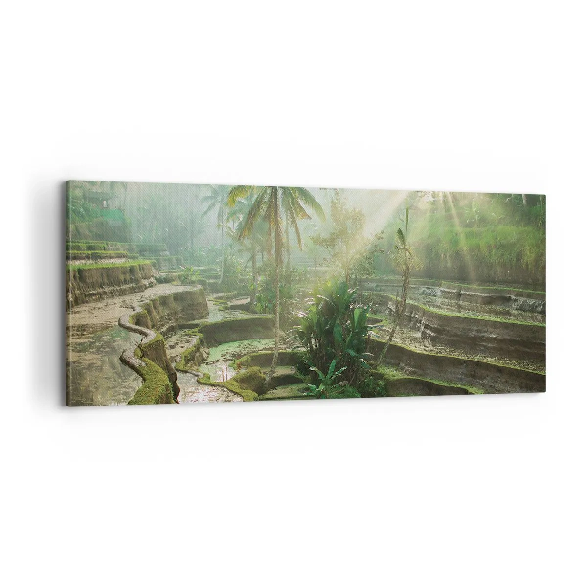 Quadro su tela - Stampe su Tela - Crescere al sole - 100x40 cm