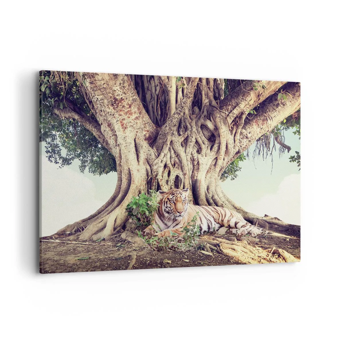 Quadro su tela - Stampe su Tela - Una tigre che riposa sotto un albero che si estende - 100x70cm - Vista dal Libro della Genesi - Decorazione murale moderna per soggiorno e camera da letto ARTTOR