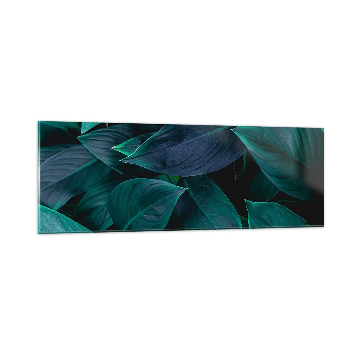 Quadro su vetro - Il verde puro - 90x30 cm