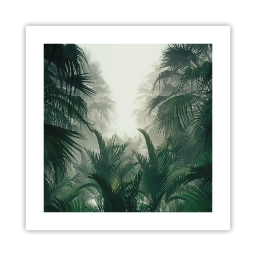 Poster - Mistero dei tropici - 40x40 cm