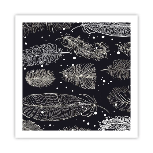 Poster - Pizzo piumato - 60x60 cm