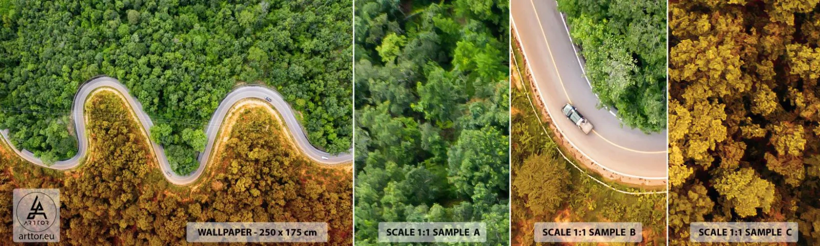 Campione Di Fotomurale Standard Eco - Confine e separazione - Paesaggio, Strada automobilistica, foresta - 100x30 cm