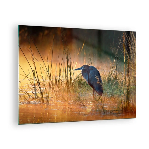 Quadro su vetro - Tramonto su un lago con un airone - 70x50cm - Basta con queste foto - Decorazione murale moderna per soggiorno e camera da letto ARTTOR