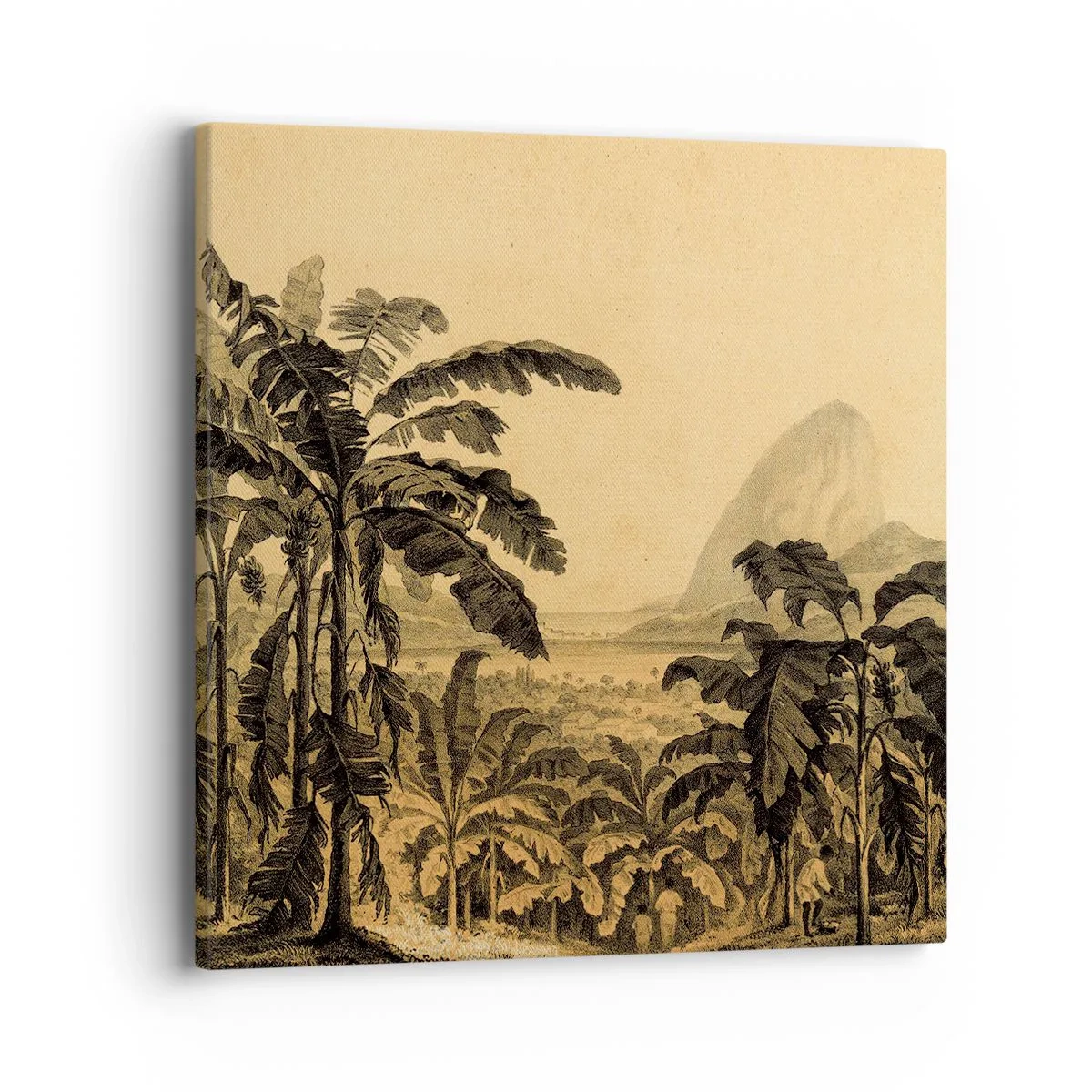 Quadro su tela - Stampe su Tela - Nel clima coloniale - 40x40 cm