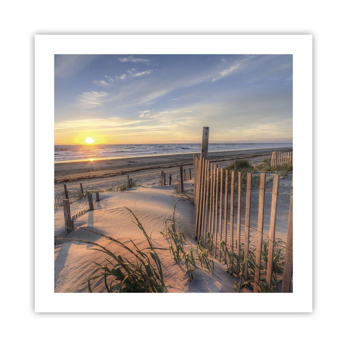 Poster - Luci e ombre del vento - 50x50 cm