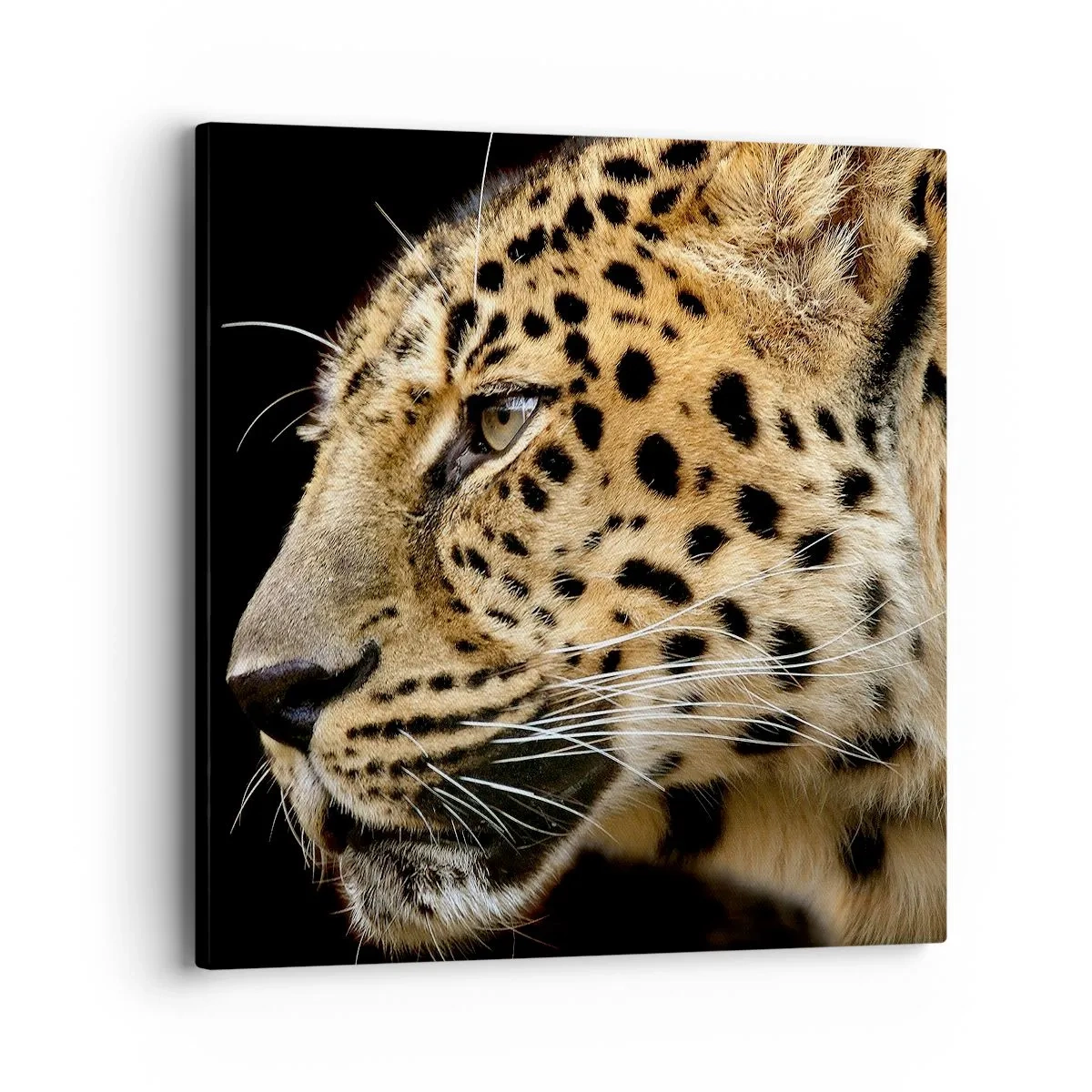 Quadro su tela - Stampe su Tela - Calmo, concentrato, pronto - 40x40 cm