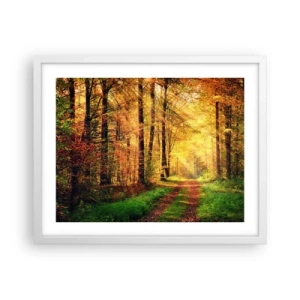 Poster in cornice bianca - Il silenzio d'oro del bosco - 50x40 cm