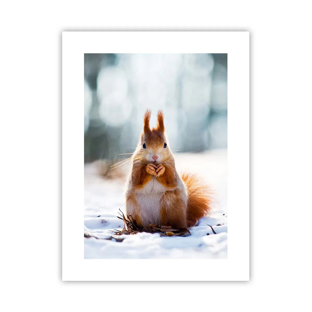 Poster - Che cosa guardi? - 30x40 cm