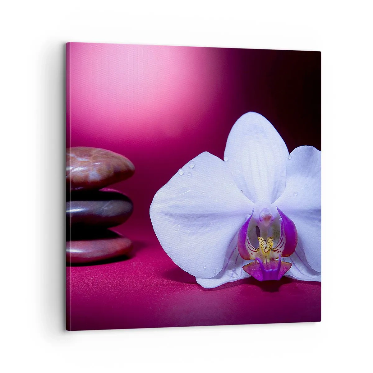 Quadro su tela - Stampe su Tela - Studio di freschezza in viola - 60x60 cm