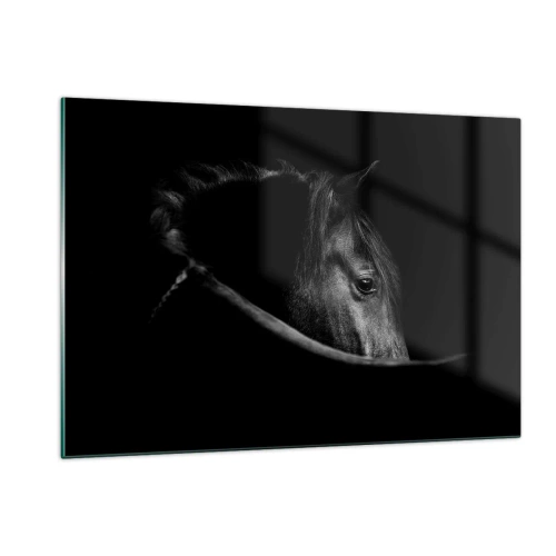 Quadro su vetro - Profilo di un cavallo nero in ombra con un occhio visibile - 120x80cm - Il principe nero - Decorazione murale moderna per soggiorno e camera da letto ARTTOR