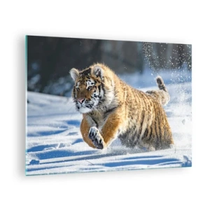 Quadro su vetro - Una tigre siberiana corre nella neve in un paesaggio invernale. - 70x50cm - La dea della taiga siberiana - Decorazione murale moderna per soggiorno e camera da letto ARTTOR