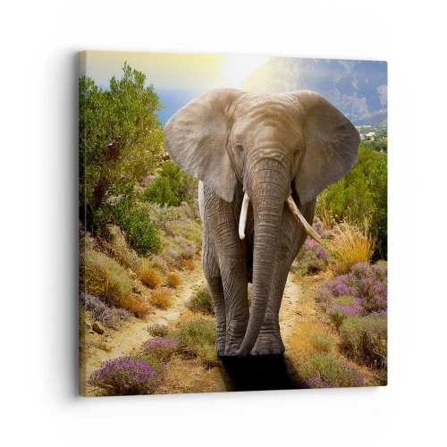 Quadro su tela - Stampe su Tela - Così era il paradiso - 30x30 cm