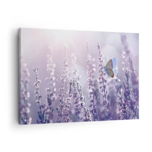 Quadro su tela - Stampe su Tela - Una farfalla sulla lavanda in fiore nella luce del mattino - 70x50cm - Il bacio della farfalla - Decorazione murale moderna per soggiorno e camera da letto ARTTOR