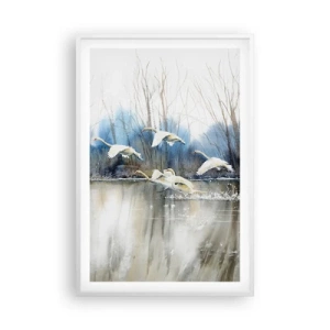 Poster in cornice bianca - Come la favola dei cigni selvatici - 61x91 cm