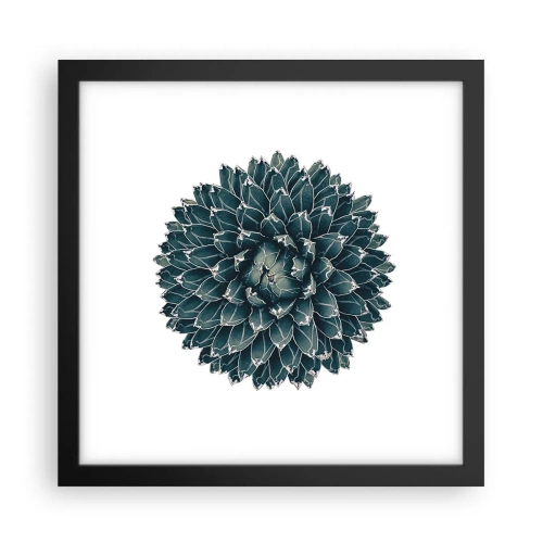 Poster in cornice nera - La stella del deserto - 30x30 cm