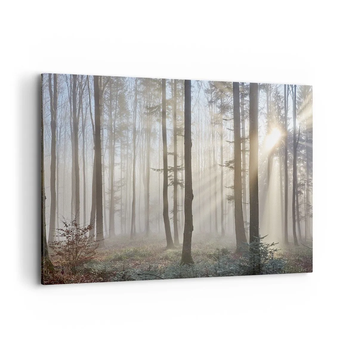 Quadro su tela - Stampe su Tela - Una foresta in una leggera nebbia con raggi di sole che brillano attraverso gli alberi - 100x70cm - Anche la nebbia si è svegliata - Decorazione murale moderna per soggiorno e camera da letto ARTTOR