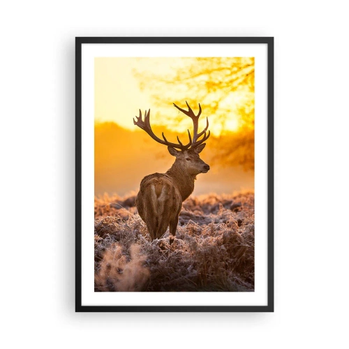 Poster in cornice nera - Un cervo sullo sfondo di un'alba dorata - 50x70cm - Il re del bosco estivo - Decorazione murale moderna per soggiorno e camera da letto ARTTOR