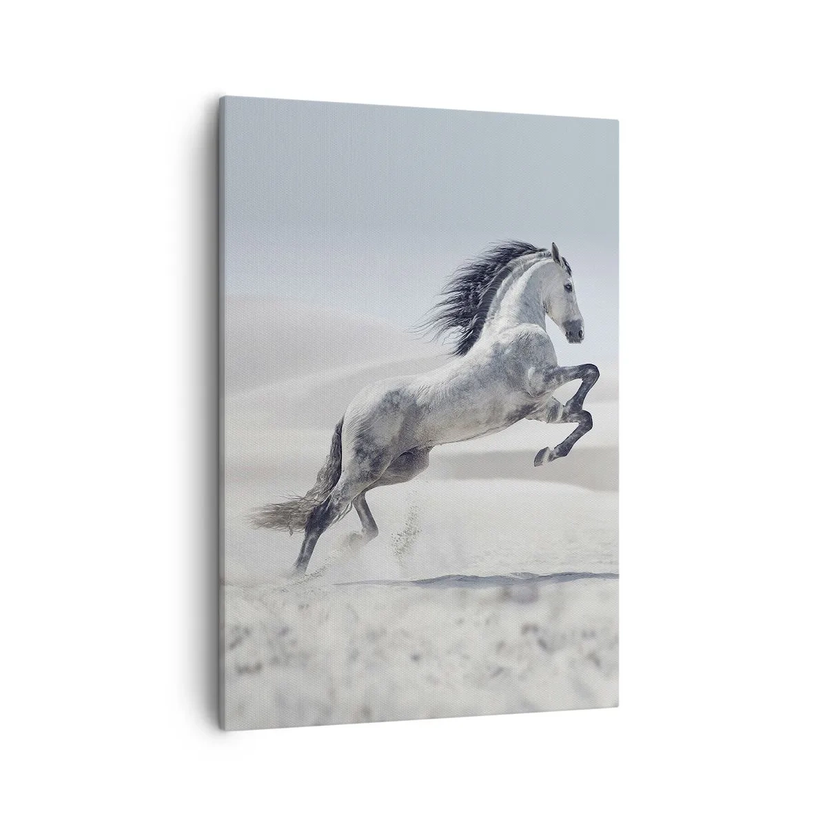 Quadro su tela - Stampe su Tela - Un cavallo bianco al galoppo sullo sfondo delle dune del deserto - 50x70cm - Il principe arabo - Decorazione murale moderna per soggiorno e camera da letto ARTTOR