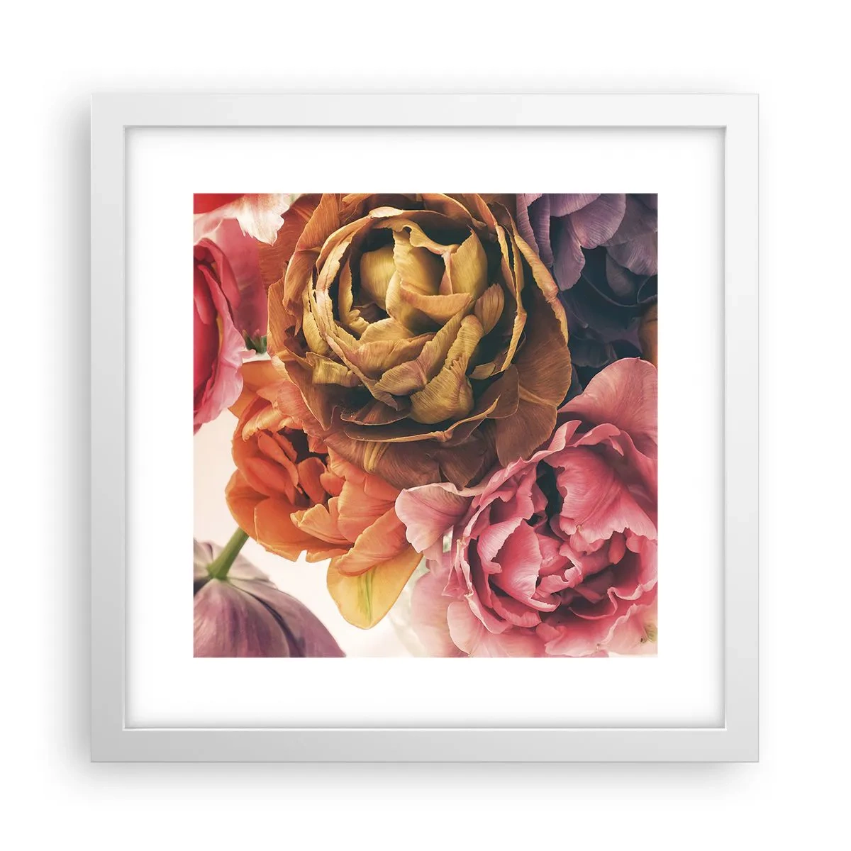 Poster in cornice bianca - La festa della vita - 30x30 cm