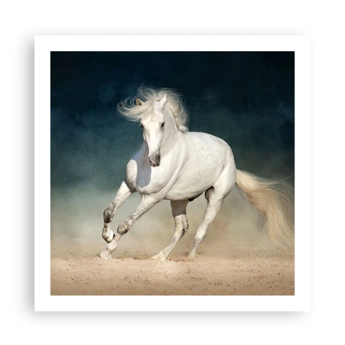 Poster - Libertà allo stato puro - 60x60 cm