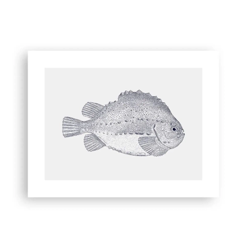 Poster - Nell'album del naturalista - 40x30 cm