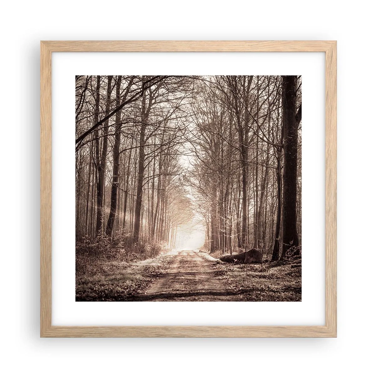 Poster in cornice rovere chiaro - La cattedrale del bosco - 40x40 cm