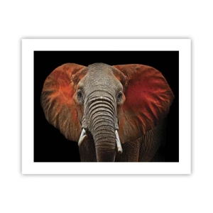 Poster - Sono selvaggio e tu? - 50x40 cm