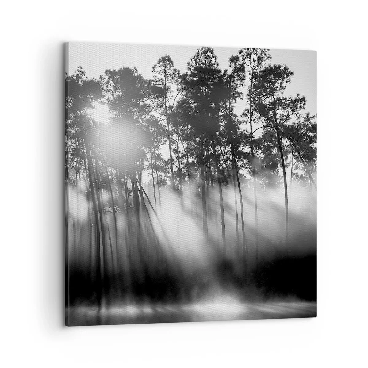 Quadro su tela - Stampe su Tela - Sole irrefrenabile - 50x50 cm