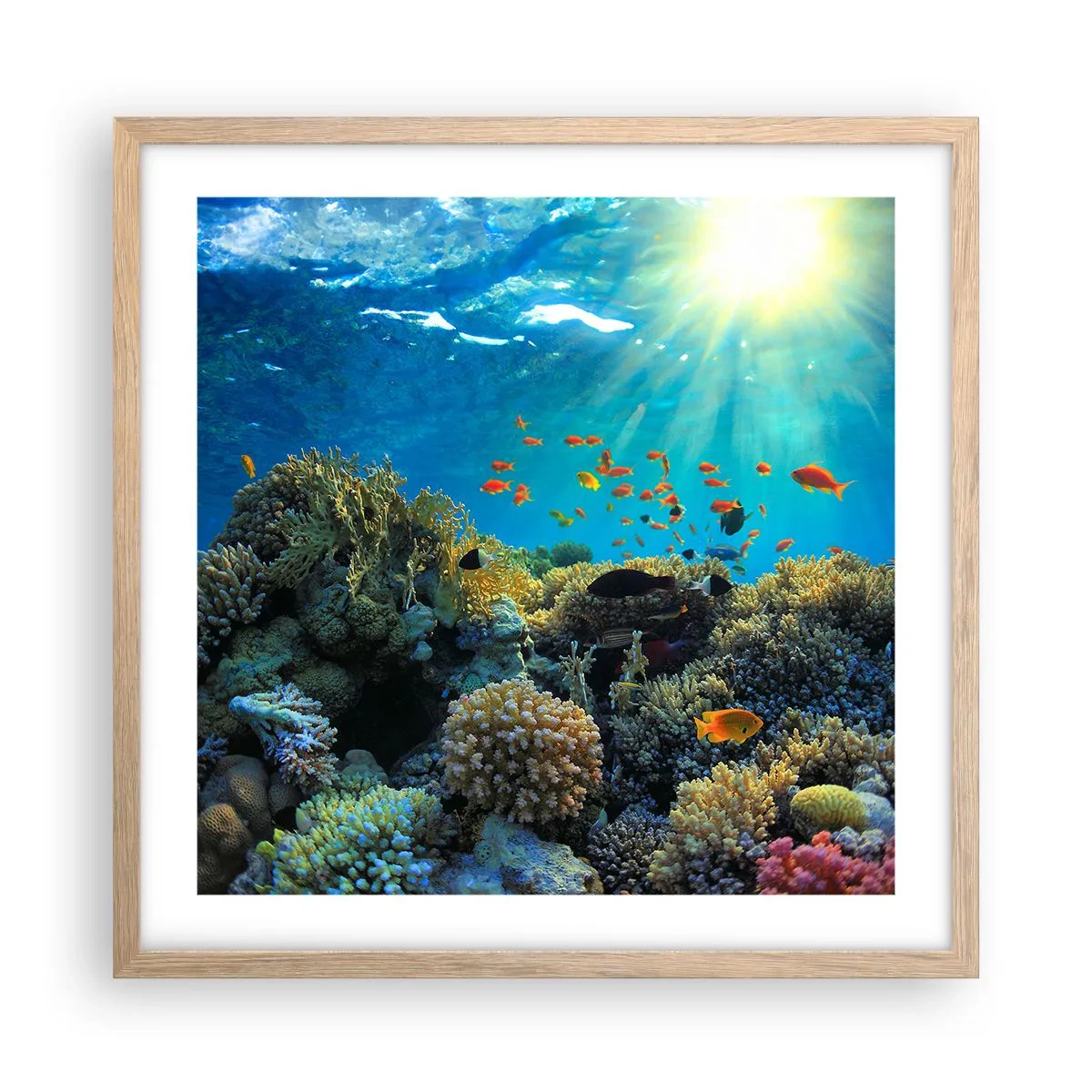 Poster in cornice rovere chiaro - Tesori sotto al mare - 50x50 cm