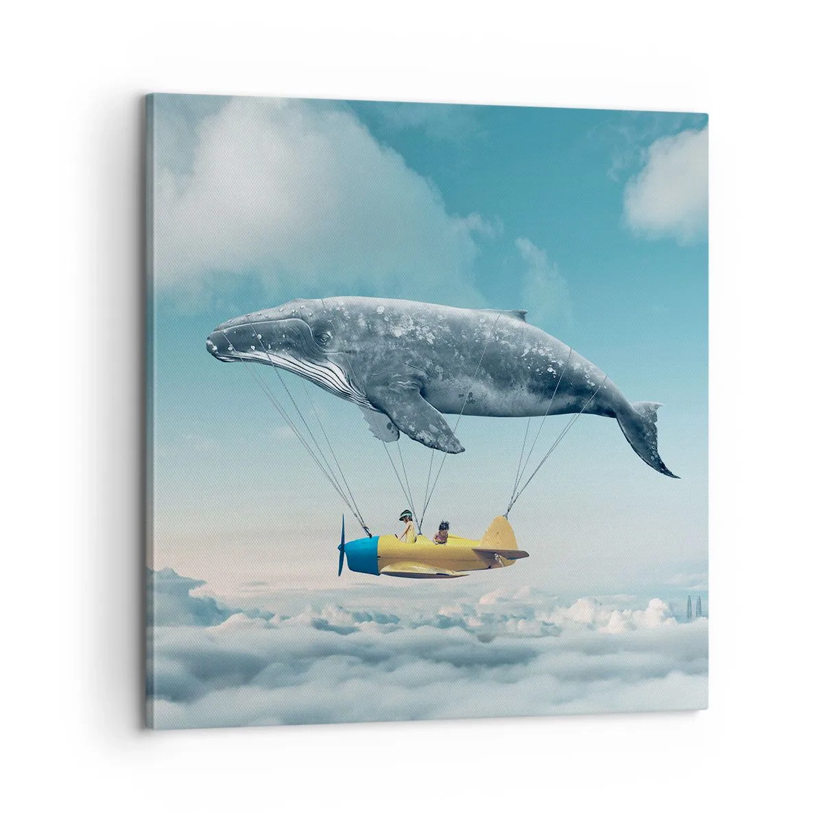 Quadro su tela - Stampe su Tela - Perché no? - 60x60 cm