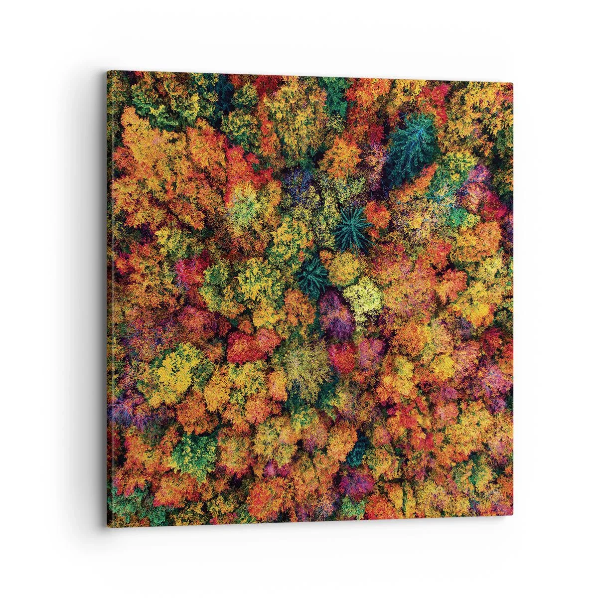 Quadro su tela - Stampe su Tela - Il bouquet degli alberi d'autunno - 70x70 cm