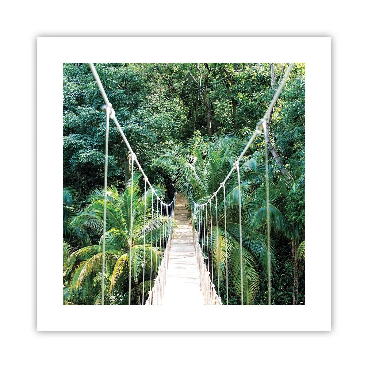 Poster - Welcome to the jungle! - 40x40 cm