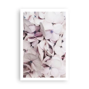 Poster - Un'alluvione di fiori - 61x91 cm
