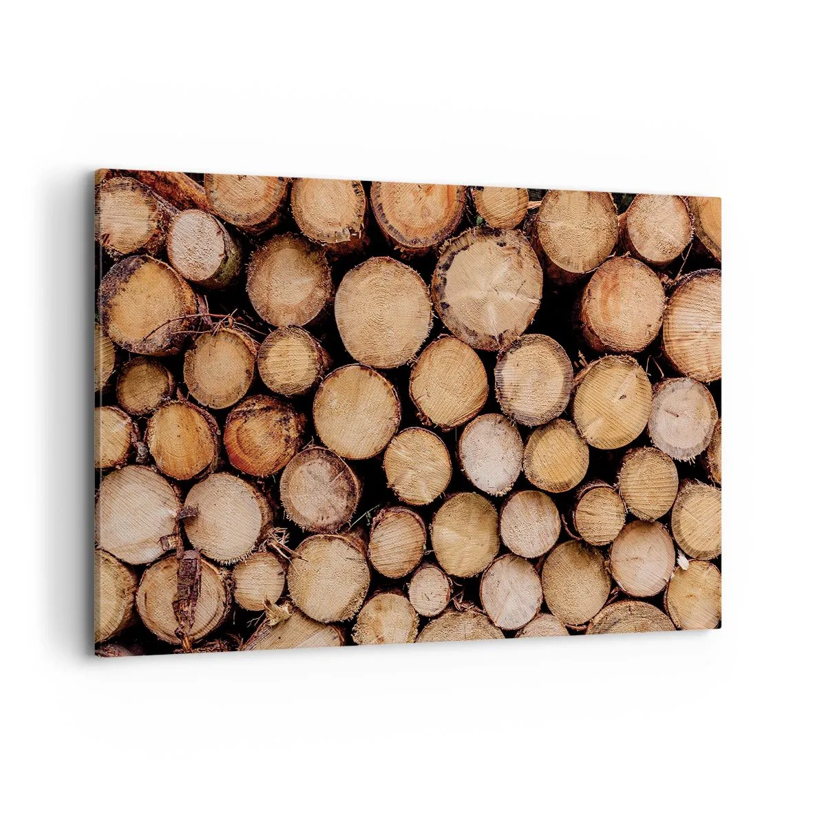 Quadro su tela - Stampe su Tela - Mucchi di tronchi d'albero abbattuti disposti in armonia - 120x80cm - Nuovo inizio - Decorazione murale moderna per soggiorno e camera da letto ARTTOR