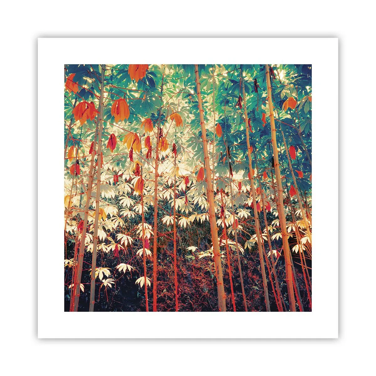 Poster - La vita segreta delle foglie - 40x40 cm