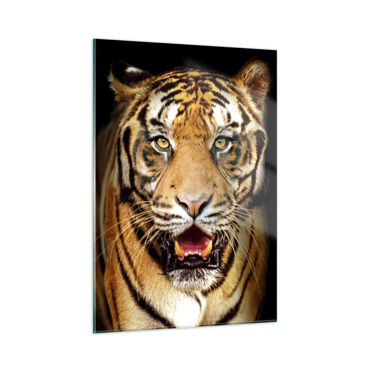 Quadro su vetro - Una tigre su uno sfondo scuro con uno sguardo intenso - 50x70cm - Cuore selvatico - Decorazione murale moderna per soggiorno e camera da letto ARTTOR