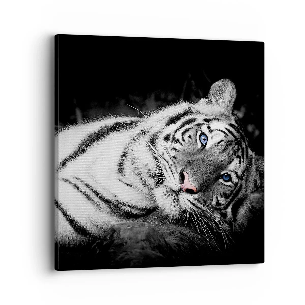 Quadro su tela - Stampe su Tela - Selvaggità e pace - 40x40 cm