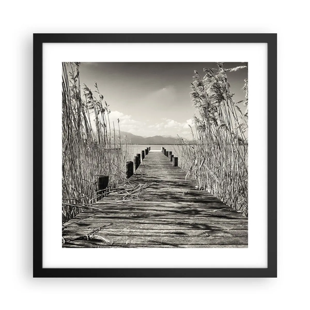Poster in cornice nera - Nel silenzio dell'erba - 40x40 cm