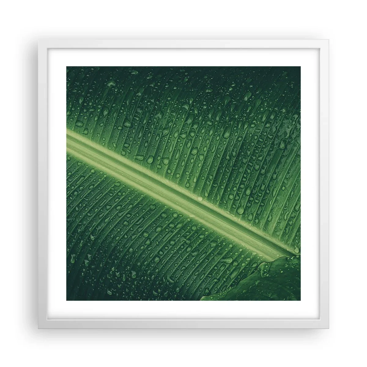 Poster in cornice bianca - La struttura del verde - 50x50 cm