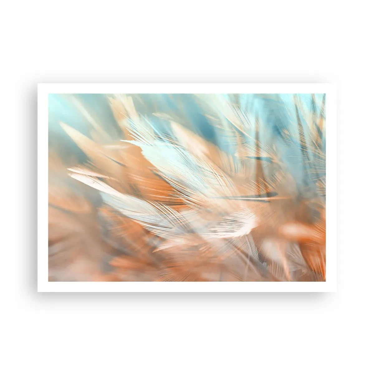 Poster - Delicate piume nei toni pastello del blu e dell'arancione - 100x70cm - Nel paese della mitezza - Decorazione murale moderna per soggiorno e camera da letto ARTTOR