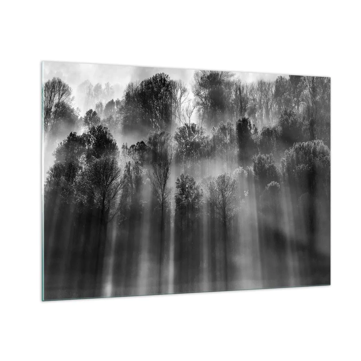 Quadro su vetro - Raggi di luce bianchi e neri che penetrano nella foresta - 100x70cm - Nei getti di luce - Decorazione murale moderna per soggiorno e camera da letto ARTTOR