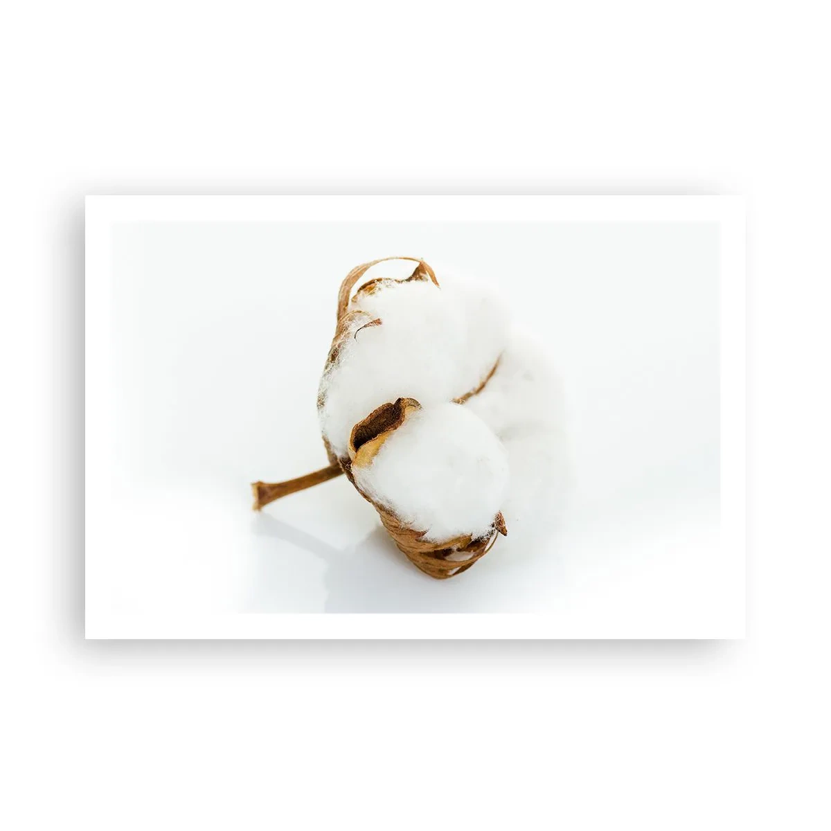 Poster - Naturalmente morbido - 91x61 cm