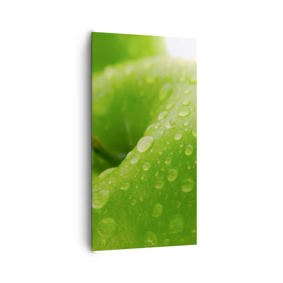 Quadro su tela - Stampe su Tela - Rinfrescante verde freschezza - 65x120 cm