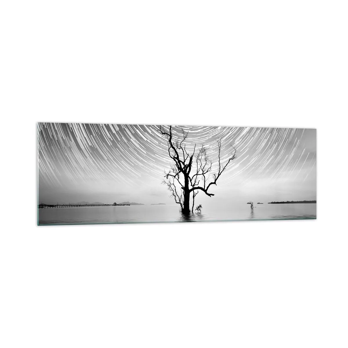 Quadro su vetro - Un albero nell'acqua sotto un cielo notturno con stelle in movimento - 160x50cm - Sinfonia della natura - Decorazione murale moderna per soggiorno e camera da letto ARTTOR